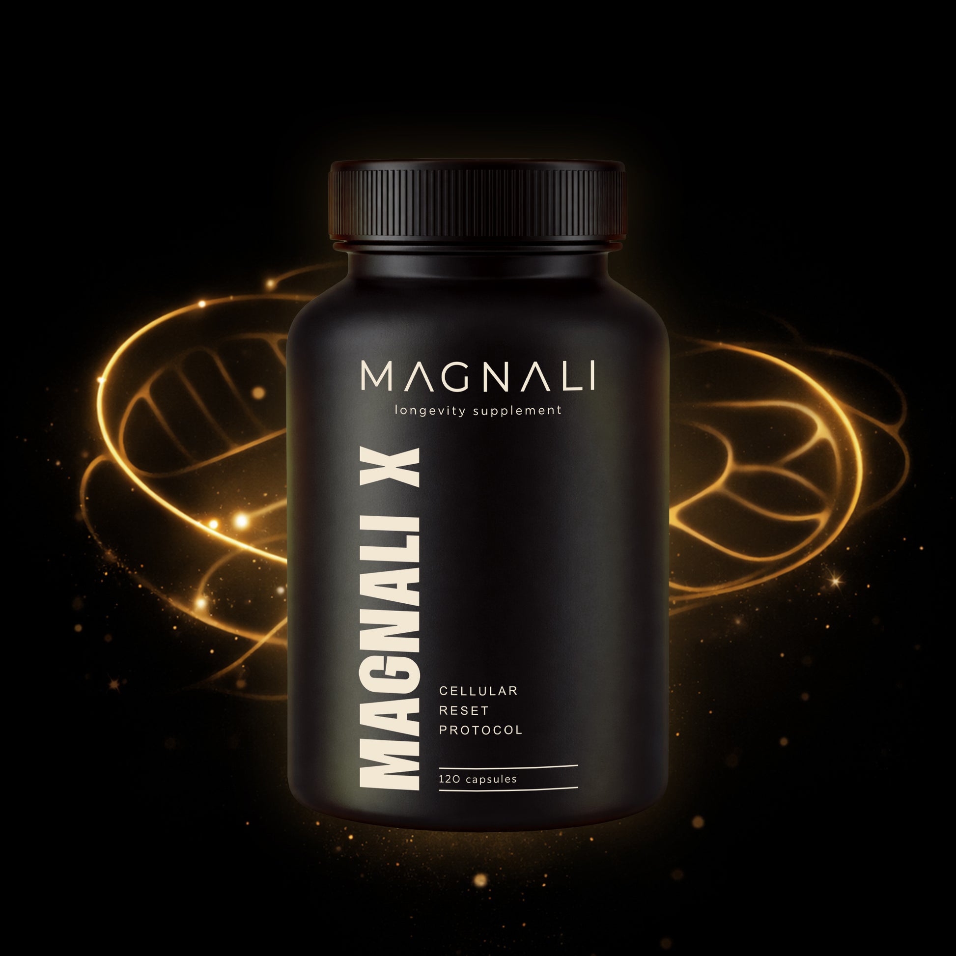 0.jpg__PID:e9b1e603-f179-4863-8ff2-2252aa505e4c