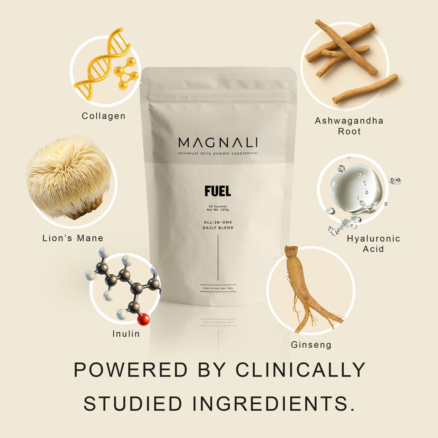 Magnali Fuel | All in One Daily Blend
