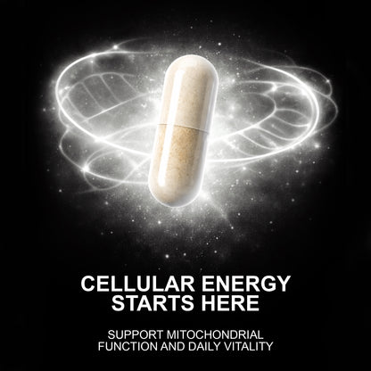 Magnali Longevity Protocol | Complete Longevity System